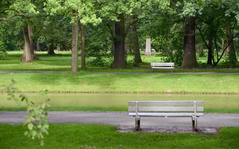 Staatspark Karlsaue, Kasel
