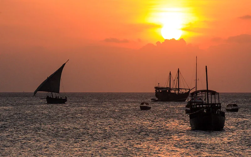 Zanzibar Gezi Rehberi