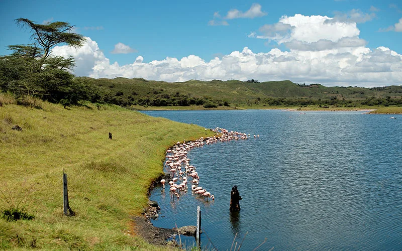 Arusha Milli Parkı