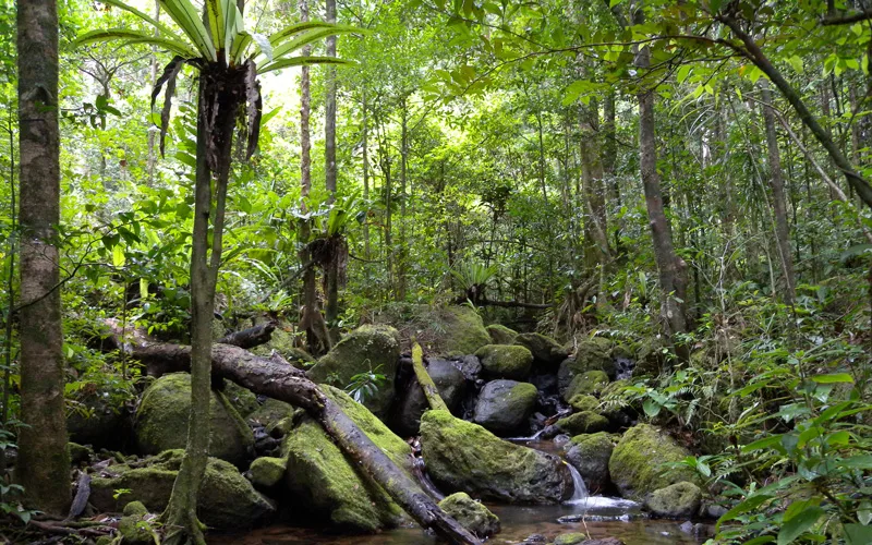 Masoala-Madagascar
