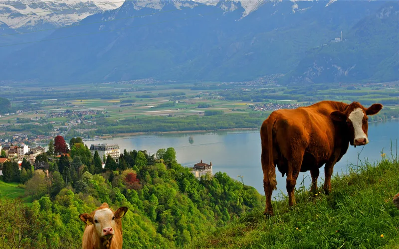 Montreux-Isvicre