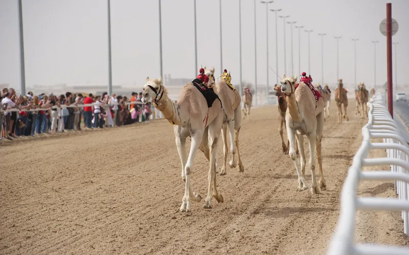 Shahaniya-Katar-Doha