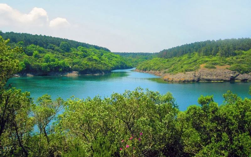 Hamsilos Koyu Sinop