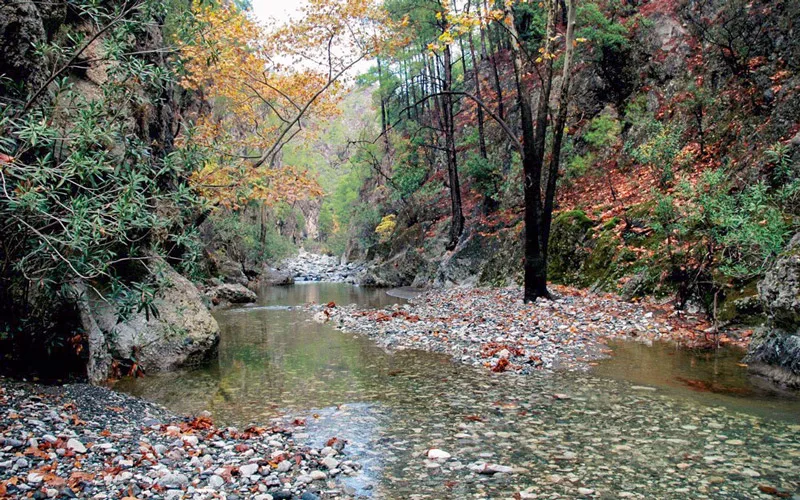 İdyma Yolu Ula Kanyonu Muğla