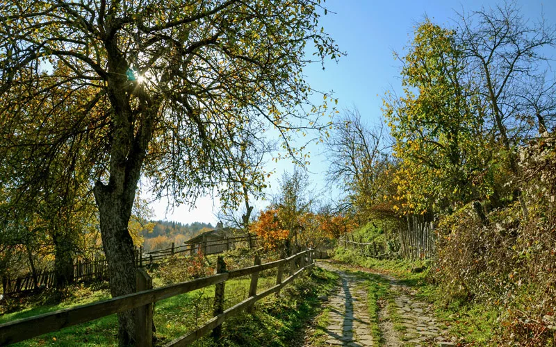 Küre Dağları Yolu Kastamonu