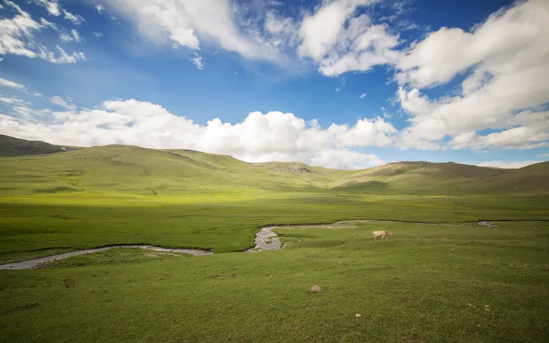 Sarıkamış Yolu Kars