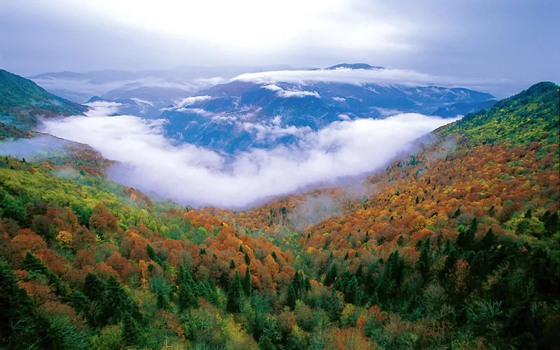 Yenice Orman Yolu Karabük