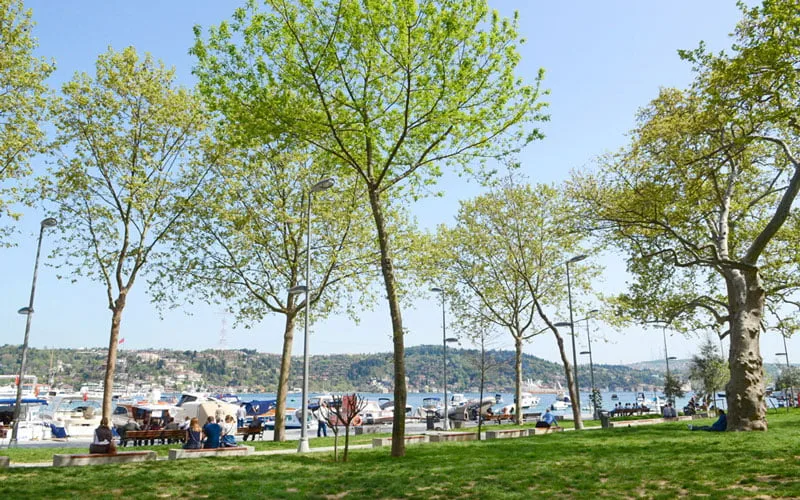 Bebek Parkı Arnavutköy İstanbul