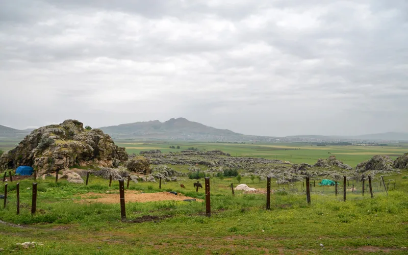 Cayonu-Diyarbakir