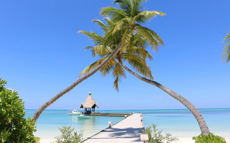 Cocoa Adası Maldivler