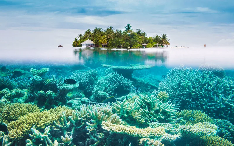 Dhagathi Maldivler Gezilecek Yerler