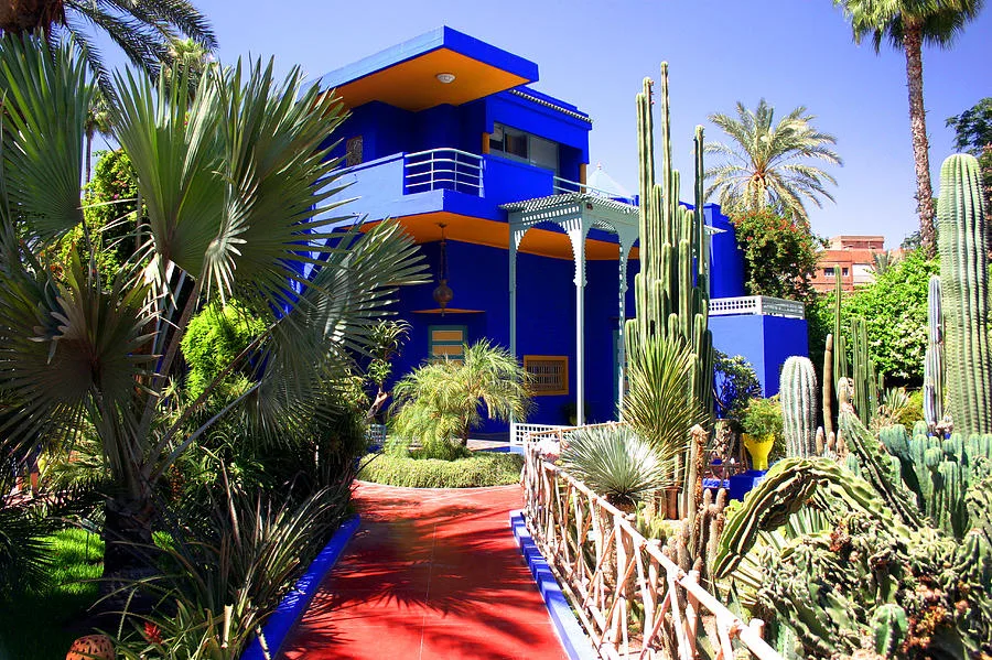 Majorelle Bahçeleri Marakeş Fas