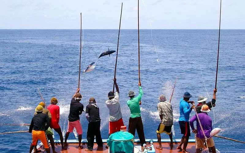 Olta Balıkçılığı Maldivler