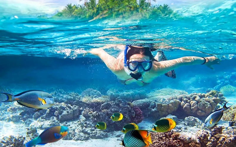 Sualtı Sporları Maldivler