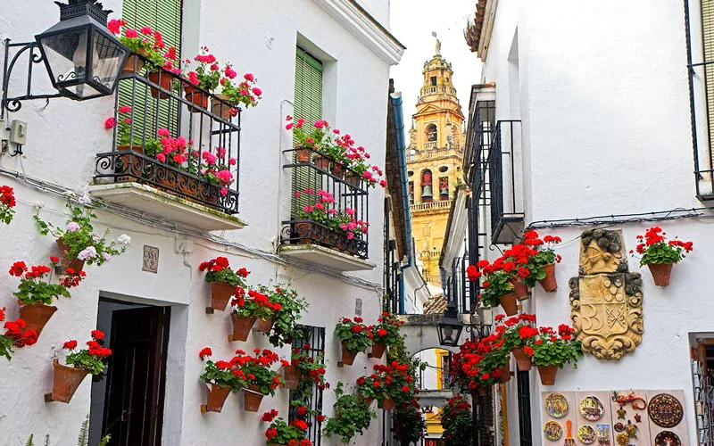 Calleja de las Flores