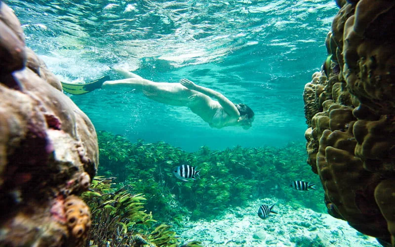 Ste Anne Marine Ulusal Deniz Parkı