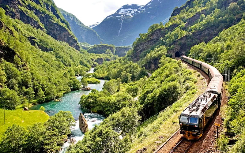 Norveç