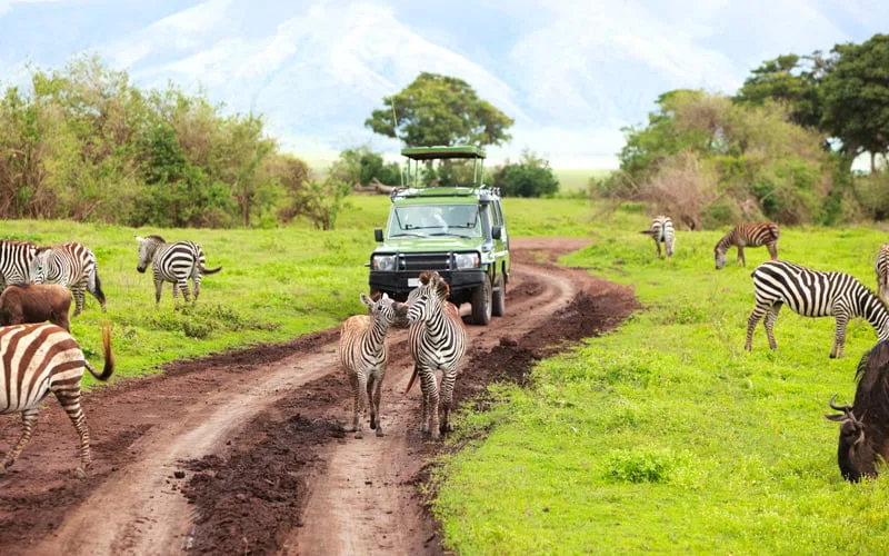 Hangi Mevsimde Nereye Gidilir Kenya