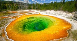 Midway Gayzer Havzası