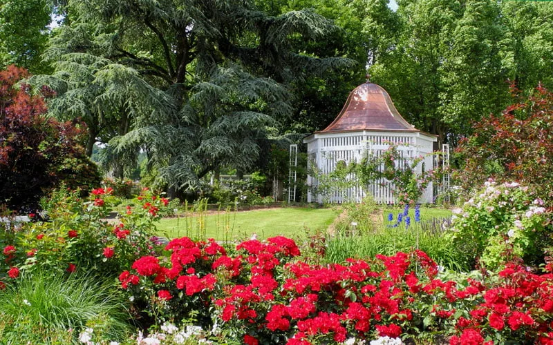 Rosengarten Bern Gezilecek Yerler