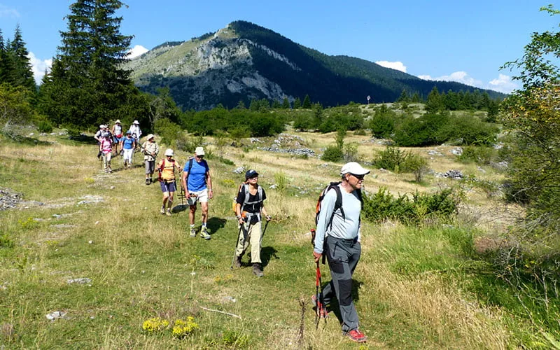 Vitosha Dağı Sofya