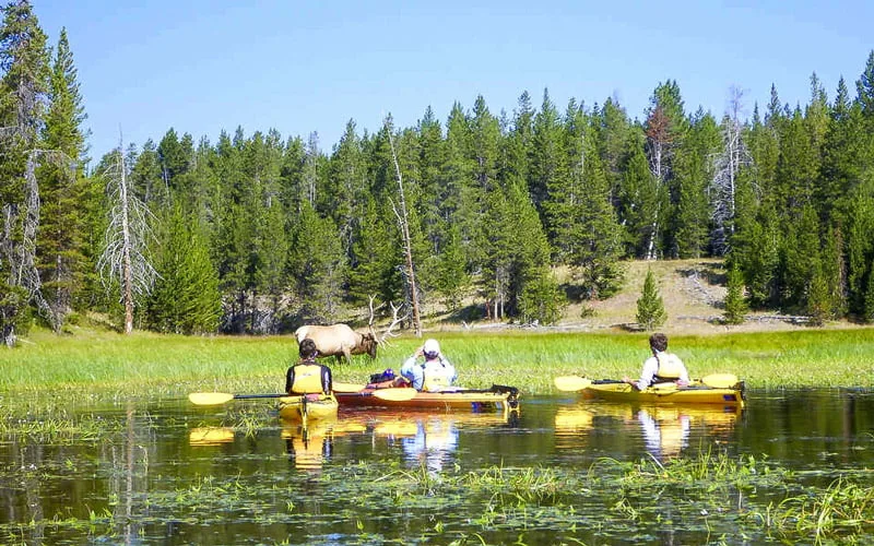 Yellowstone Gölü