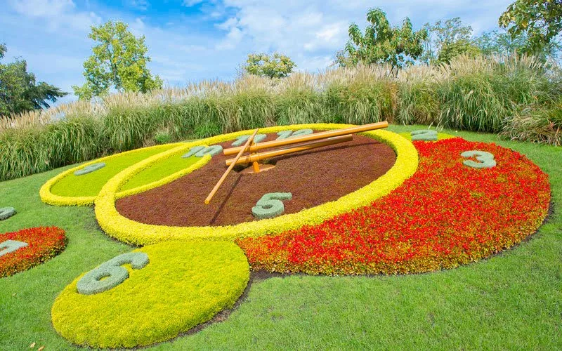 İngiliz Bahçeleri Çiçek Saati Cenevre