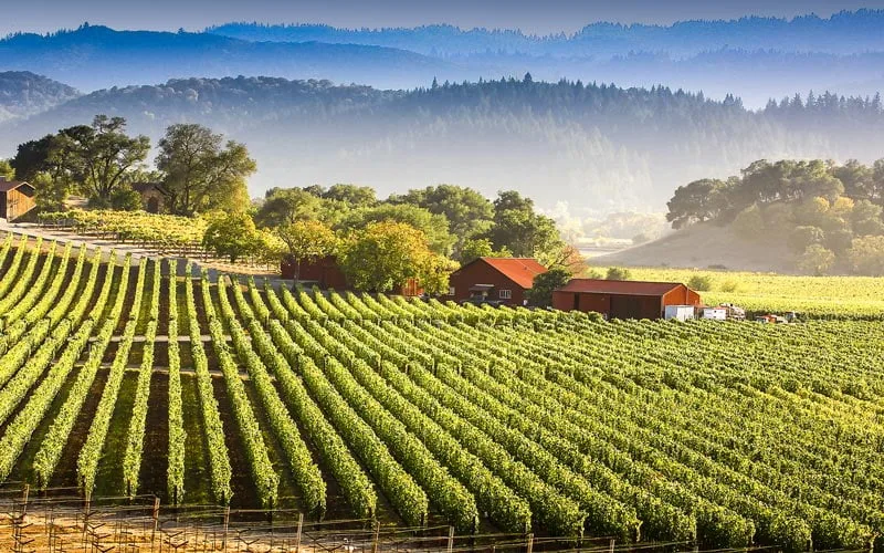 Napa Vadisi