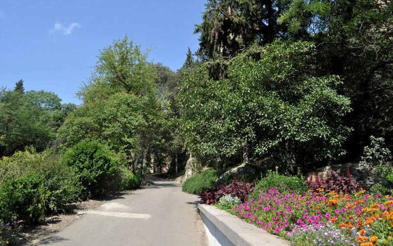 Tiflis-Botanik-Bahcesi