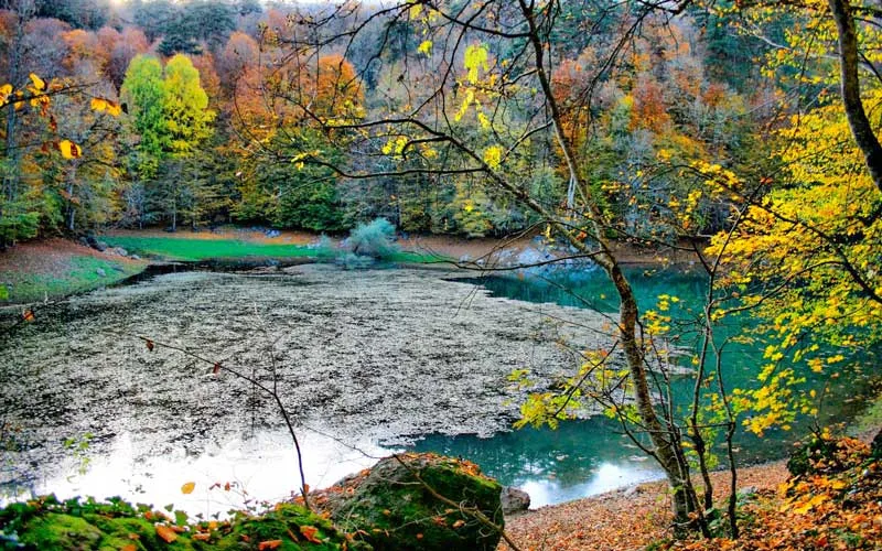 Yedigoller-Milli-Parki