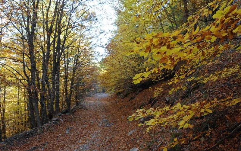 Turkiye-Trekking-Rotalari-Kazdaglari-Trekking