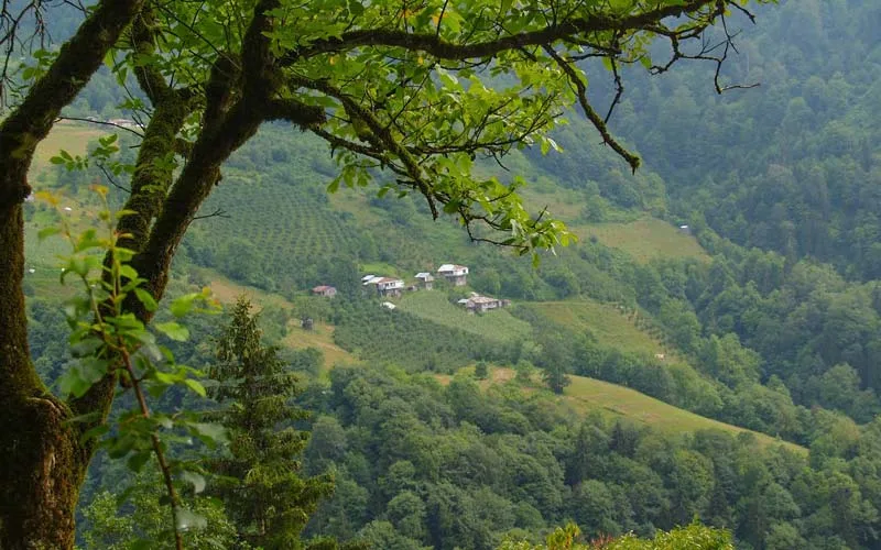 Turkiye-Trekking-Rotalari-Macahel-Trekking