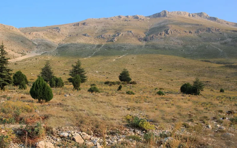 En-Guzel-Milli-Parklar-Ciglikara