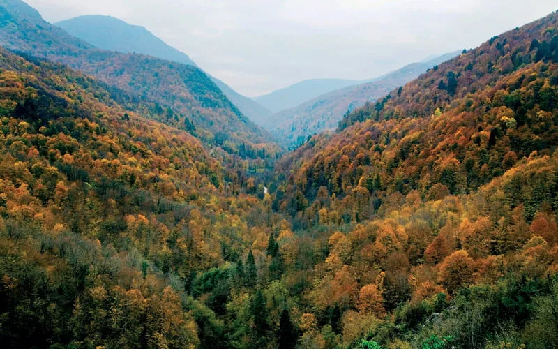 En-Guzel-Milli-Parklar-Citdere