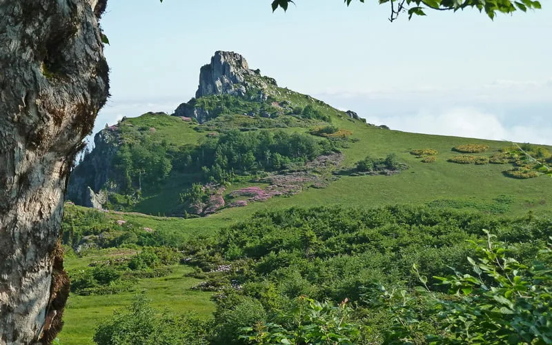 En-Guzel-Milli-Parklar-Hatila