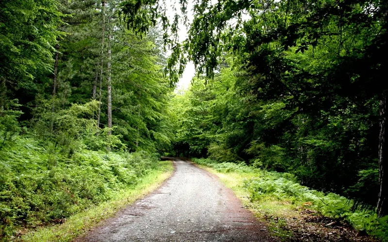 En-Guzel-Milli-Parklar-Kazdaglari