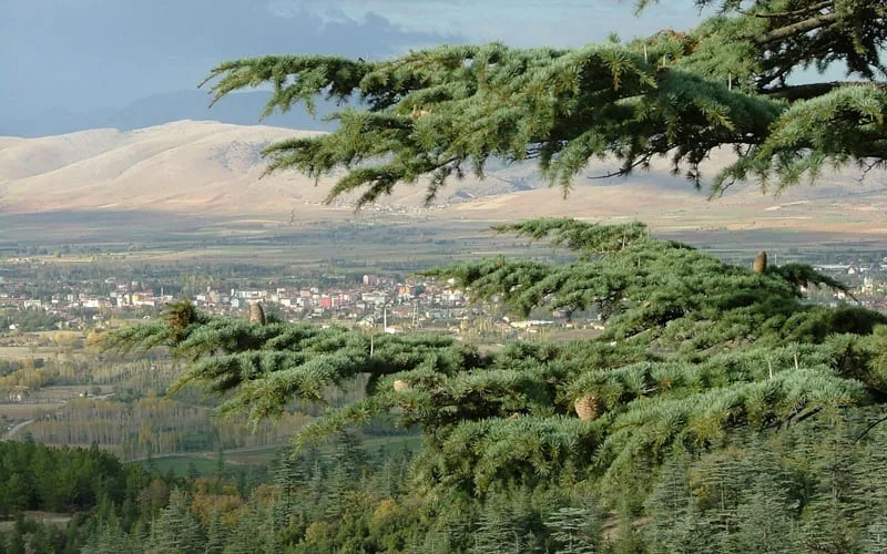 En-Guzel-Milli-Parklar-Kizildag