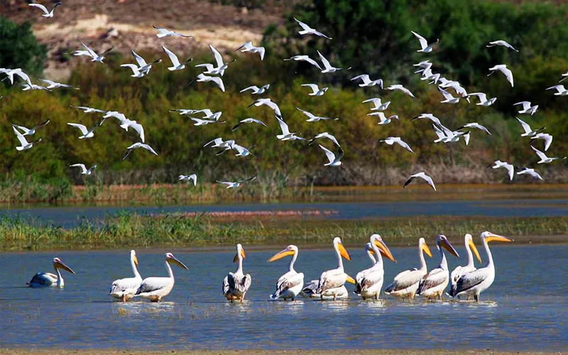 En-Guzel-Milli-Parklar-Nallihan