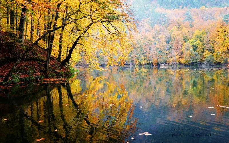 En-Guzel-Milli-Parklar-Yedigoller